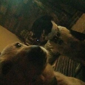 Meet your Posher, Judy